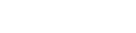 Intetics